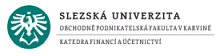 Uživatel finanční analýzy Slezská univerzita